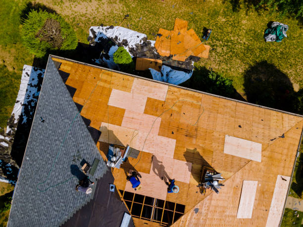 Best Roof Maintenance Services  in Gladwin, MI