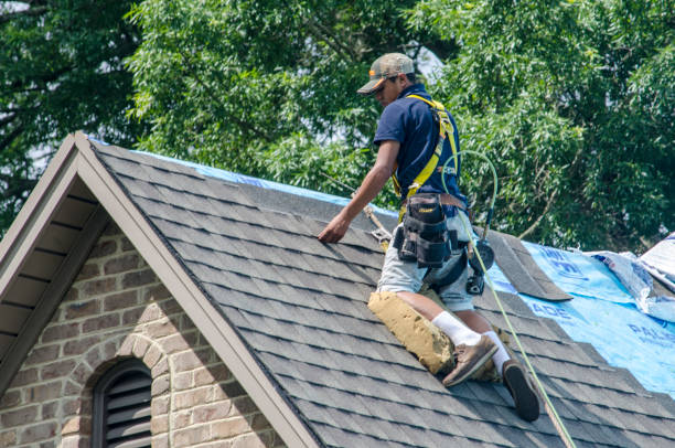 Best Roofing Contractors for Homes  in Gladwin, MI